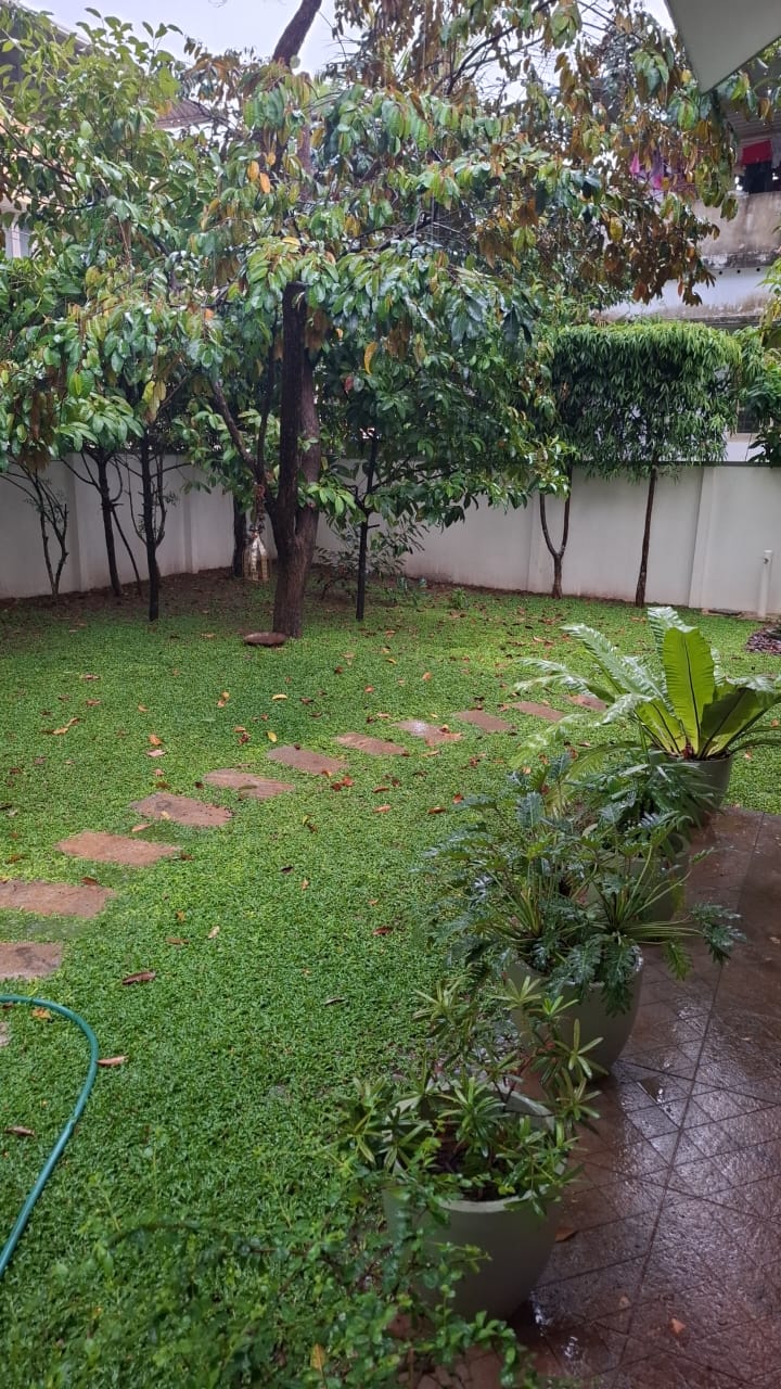 Real Garden Project 2